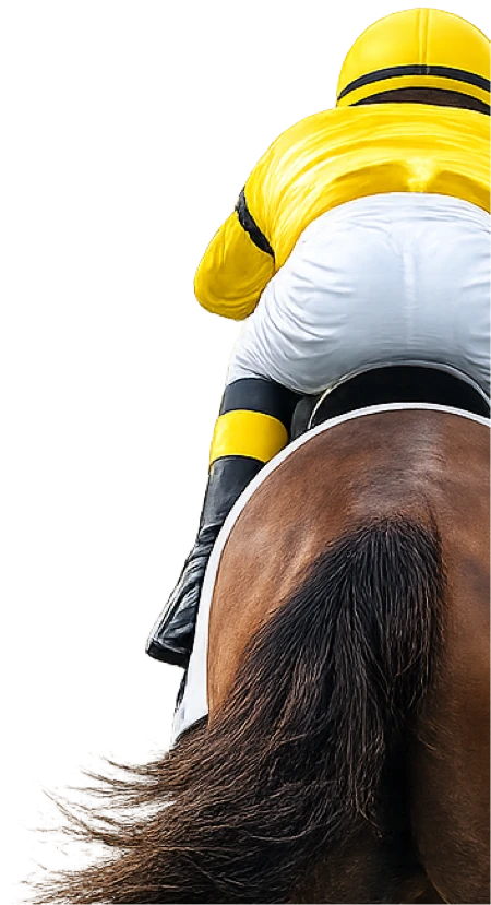 Today's Racing, tipster