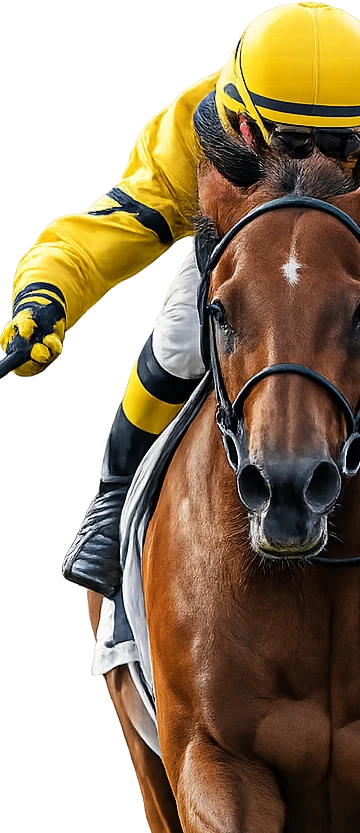 Today's Racing, tipster